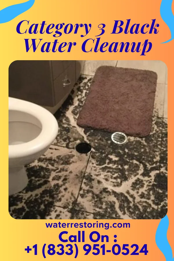 Category 3 Black Water Cleanup in Murfreesboro, NC