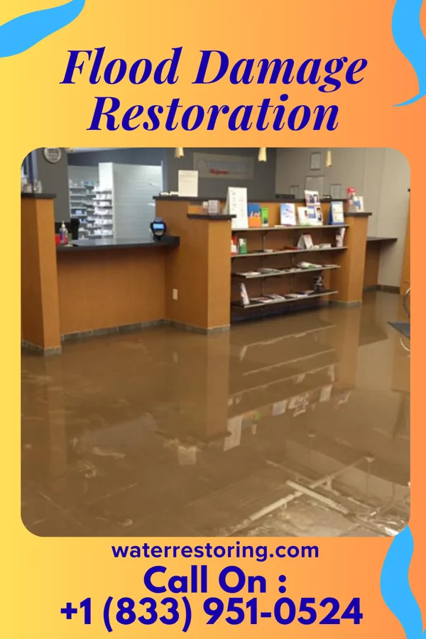 Flood Damage Restoration in Murfreesboro, NC