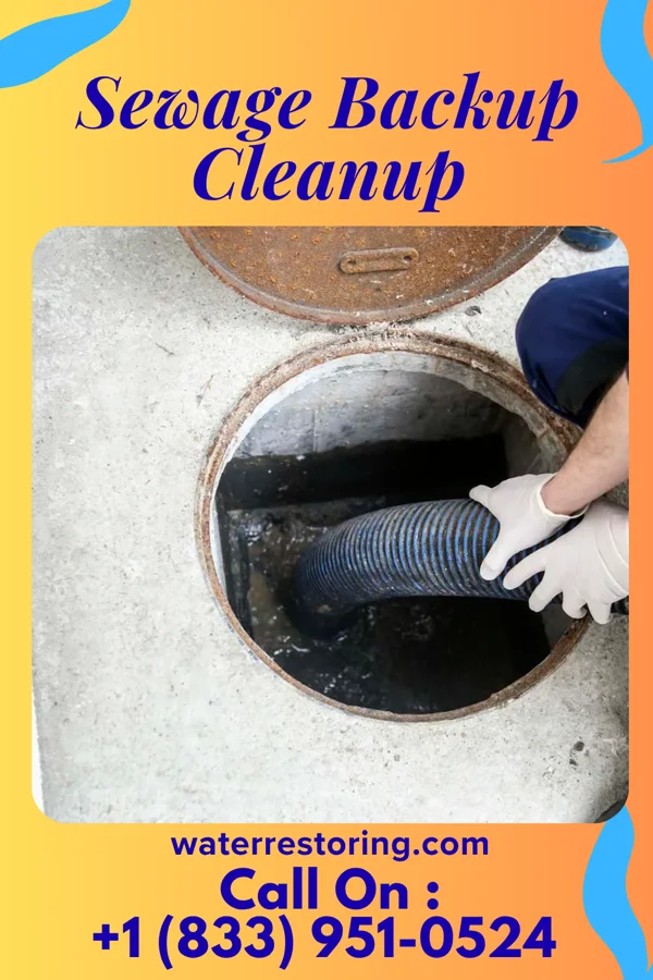 Sewage Backup Cleanup in Murfreesboro, NC